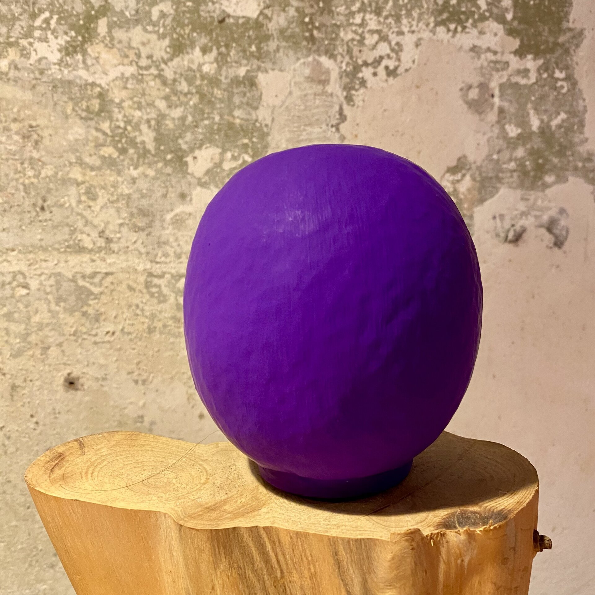 Daruma Takasaki Violeta - 3