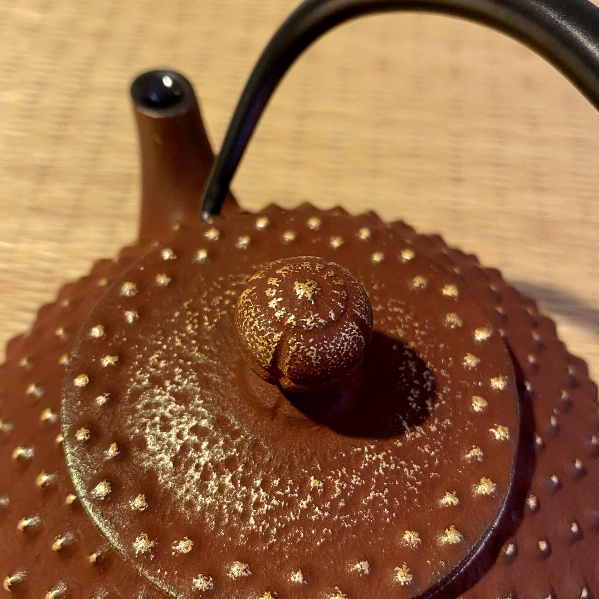 Tetera Japonesa de Hierro – Marrón (Nambu Tetsubin) - 1